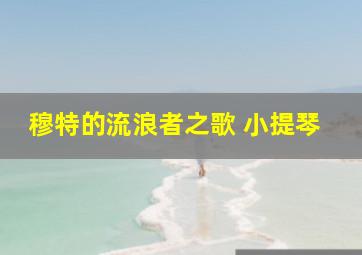 穆特的流浪者之歌 小提琴